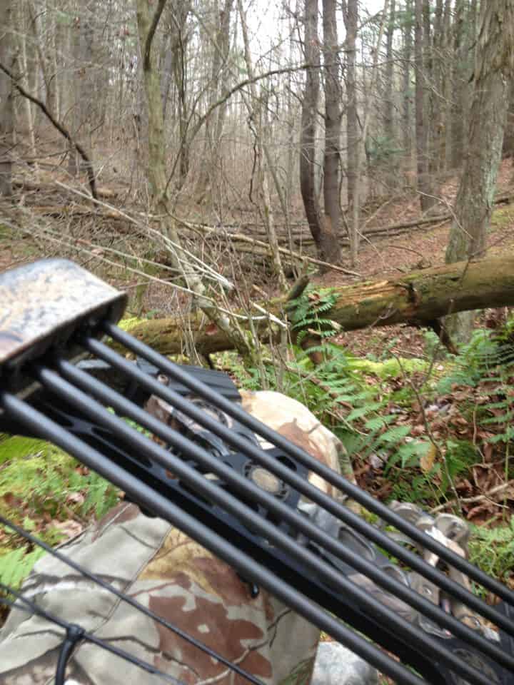 Ground Brush Blinds for Whietail Deer Hunting